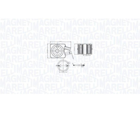 Oil cooler, engine oil