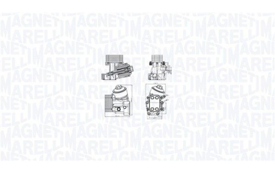 Oil cooler, engine oil