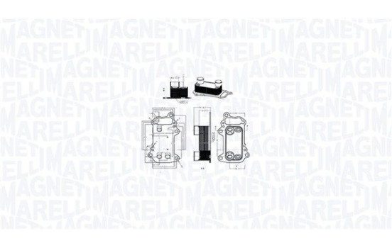 Oil cooler, engine oil