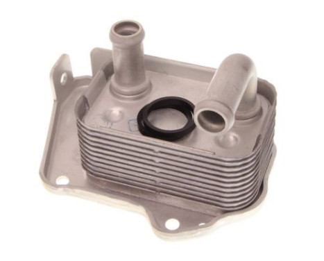 Oil cooler, engine oil