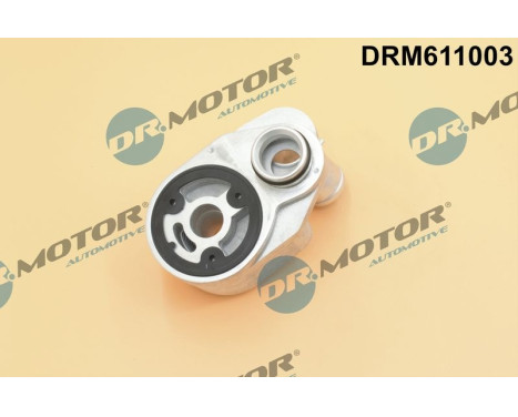 Oil cooler, engine oil