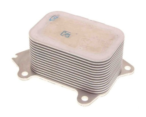 Oil cooler, engine oil