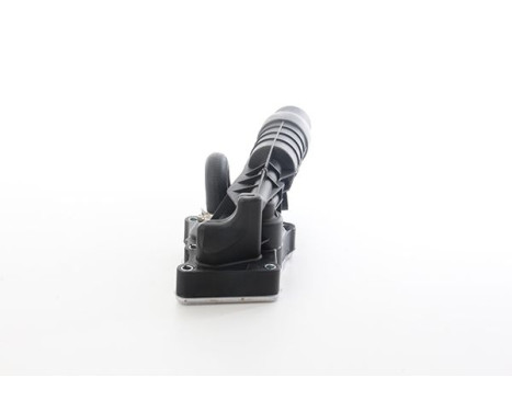 Oil cooler, engine oil
