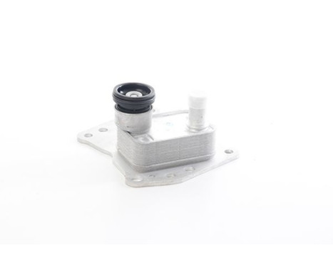 Oil cooler, engine oil
