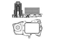 Oil cooler, engine oil