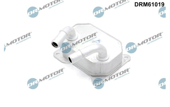 Oil cooler, engine oil