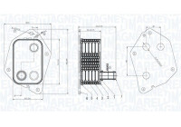 Oil cooler, engine oil