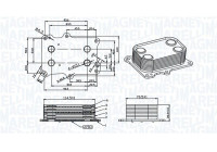 Oil cooler, engine oil