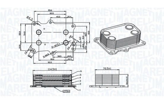 Oil cooler, engine oil