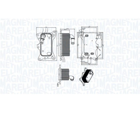 Oil cooler, engine oil