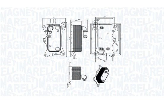 Oil cooler, engine oil