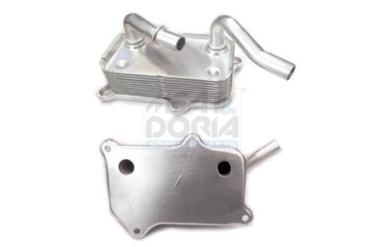 Oil cooler, engine oil