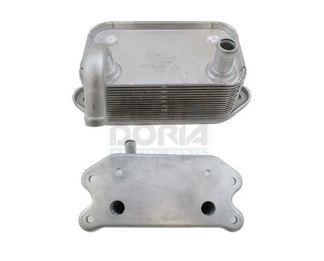 Oil cooler, engine oil