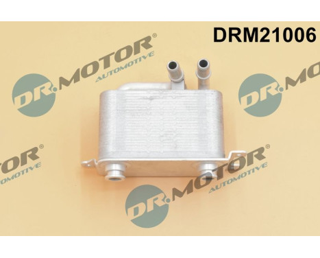 Oil cooler, engine oil