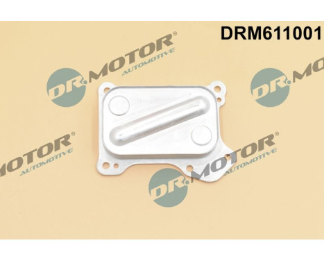 Oil cooler, engine oil