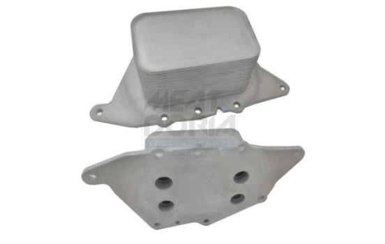 Oil cooler, engine oil