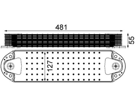 Oil cooler, engine oil