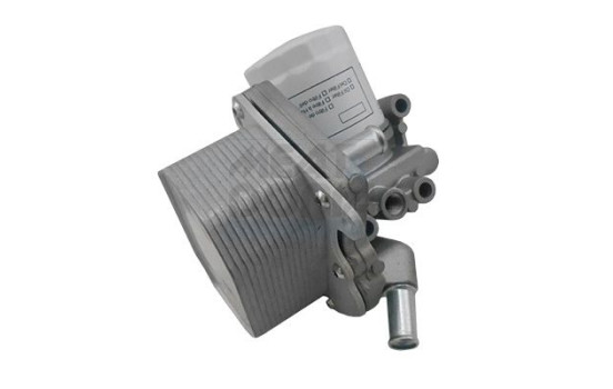 Oil cooler, engine oil