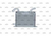 Oil Cooler, engine oil