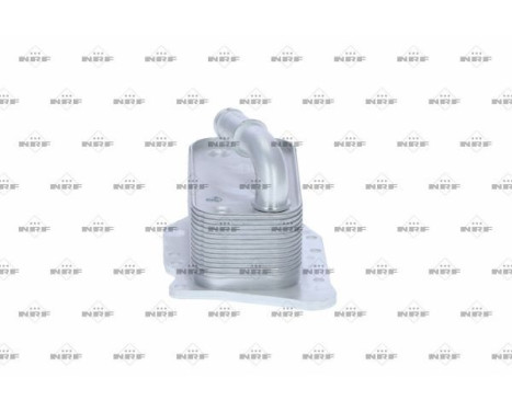 Oil Cooler, engine oil, Image 4