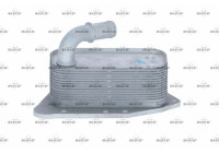 Oil Cooler, engine oil