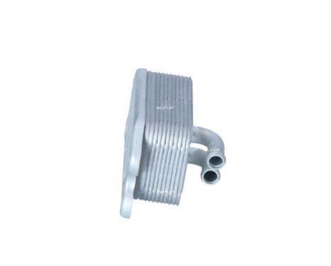 Oil Cooler, engine oil, Image 4