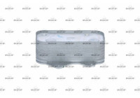 Oil Cooler, engine oil