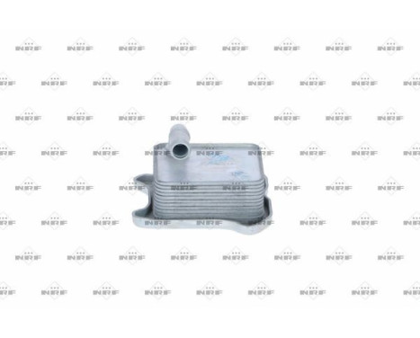 Oil Cooler, engine oil, Image 4