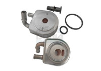 Oil cooler, engine oil