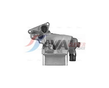 Oil Cooler, engine oil