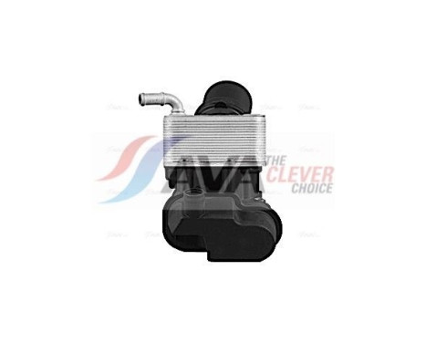 Oil Cooler, engine oil, Image 2