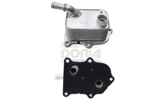 Oil cooler, engine oil