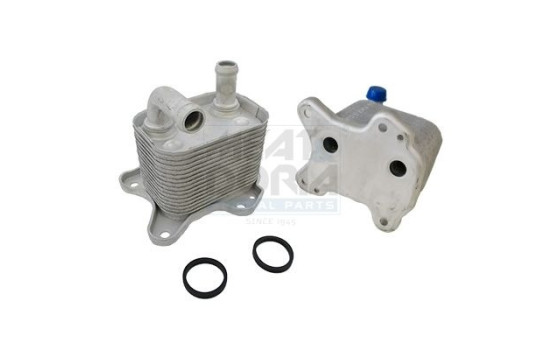 Oil cooler, engine oil