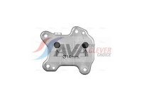 Oil Cooler, engine oil