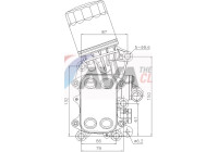 Oil cooler, engine oil