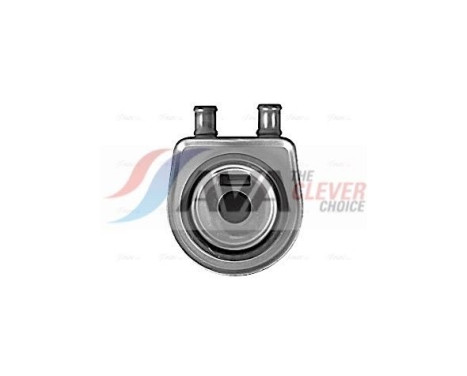 Oil Cooler, engine oil, Image 3