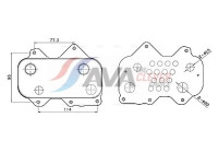 Oil cooler, engine oil