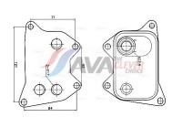 Oil cooler, engine oil
