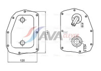 Oil cooler, engine oil