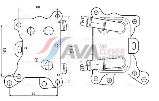 Oil cooler, engine oil