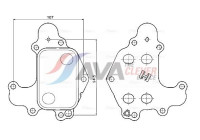 Oil cooler, engine oil