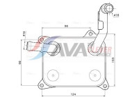 Oil cooler, engine oil
