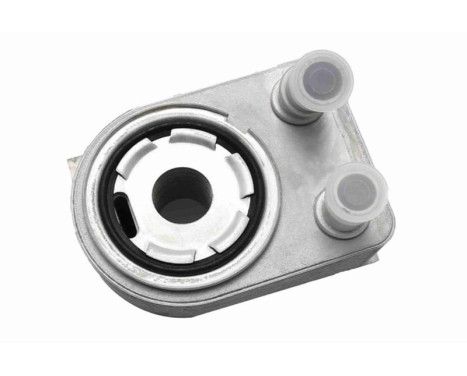 Oil cooler, engine oil