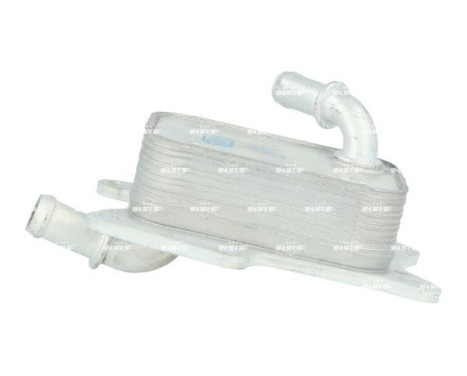 Oil Cooler, engine oil