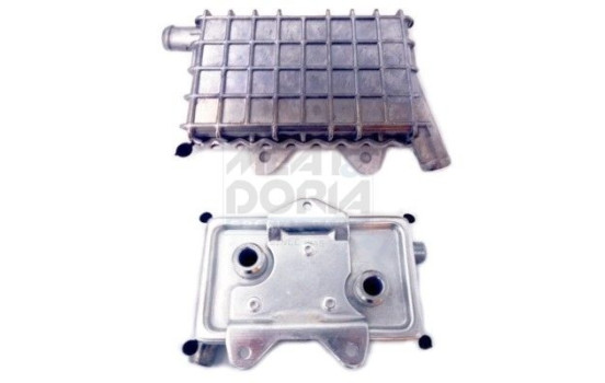 Oil Cooler, engine oil