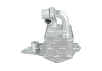 Oil cooler, engine oil