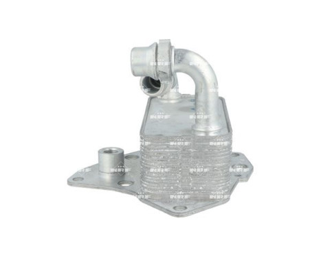 Oil cooler, engine oil