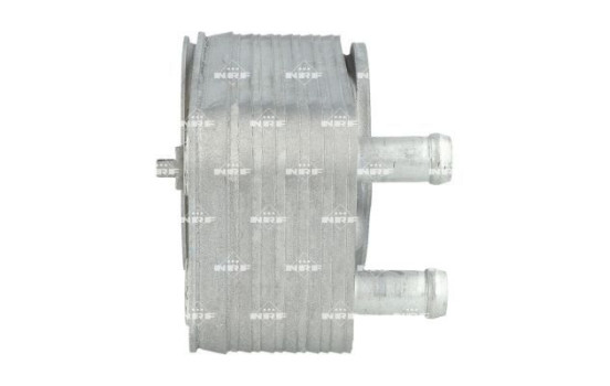 Oil cooler, engine oil