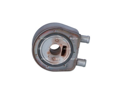 Oil cooler, engine oil