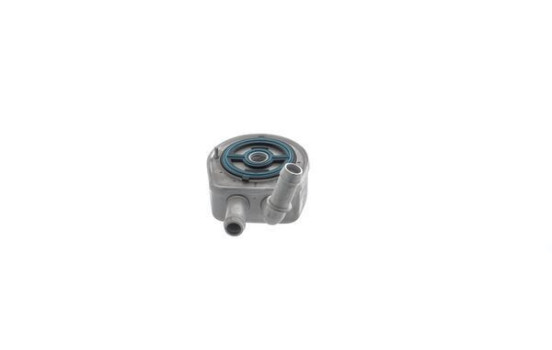 Oil cooler, engine oil